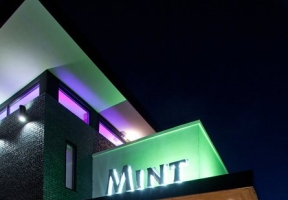Long Island Blogger: Mint - Indian Spot With A Rooftop Bar