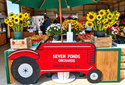Apple picking & fall orchard activities
