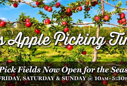 Apple picking at milk pail
