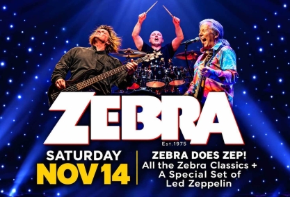 Zebra plays zeppelin