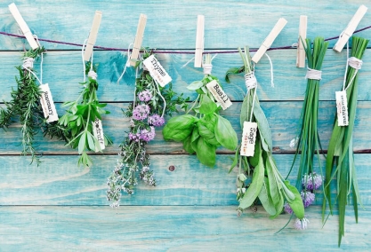 Sunday june 14th meeting. topic herbs 