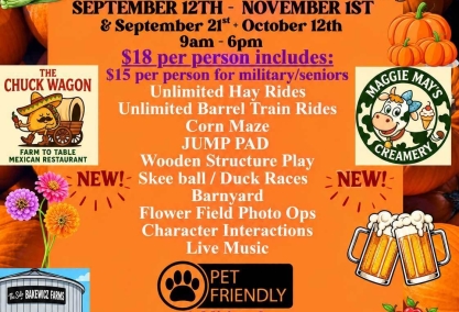 Fall farm activities & pumpkin picking