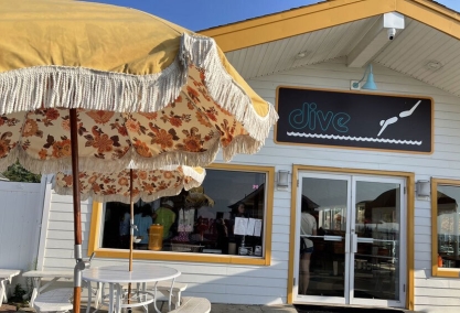 Long Island Blogger: Dive