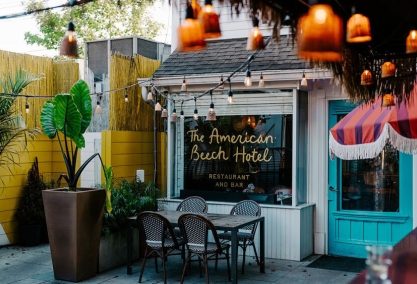 Long Island Blogger: American Beech