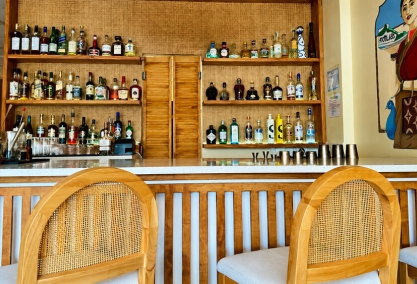 Long Island Blogger: Banjara