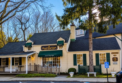 Long Island Blogger: Basil Leaf Cafe