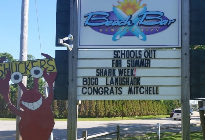 Long Island Blogger: Beach Bar