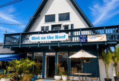 Long Island Blogger: Bird on the Roof