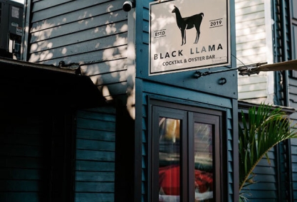 Long Island Blogger: Black Llama Cocktail & Oyster Bar