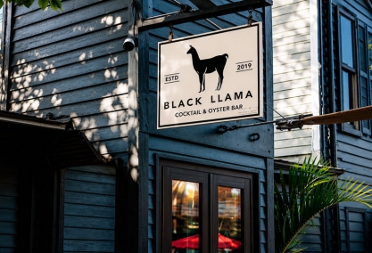 Long Island Blogger: Black Llama Cocktail & Oyster Bar