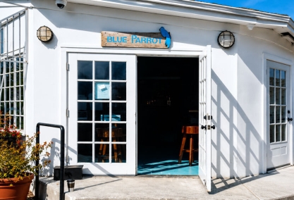Long Island Blogger: Blue Parot