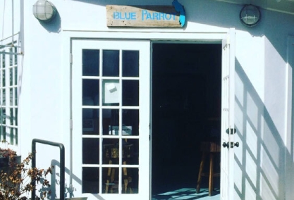 Long Island Blogger: Blue Parot