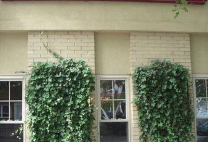 Long Island Blogger: Caffe Borocco