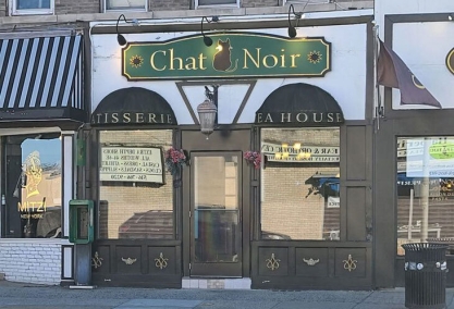 Long Island Blogger: Chat Noir