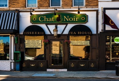 Long Island Blogger: Chat Noir