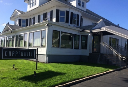 Long Island Blogger: Copperhill