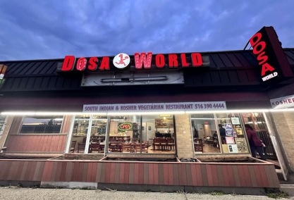 Long Island Blogger: Dosa World