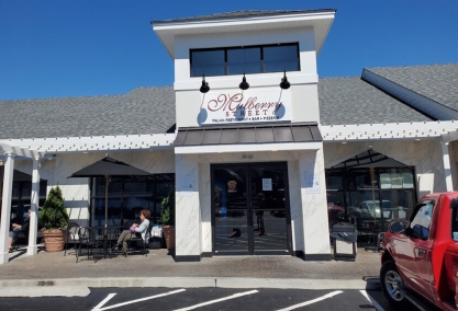 Long Island Blogger: Mulberry Street