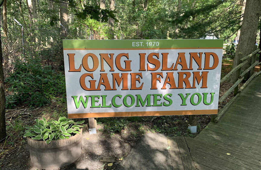 Long Island Blogger